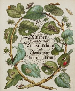 Title Page from Natural History Book