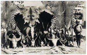 Trophies, c.1910