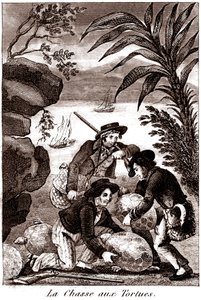 Turtle hunting