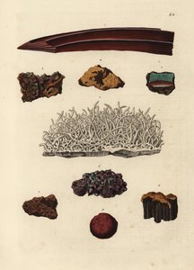 Varieties of Iron Ore by Unbekannter Künstler
