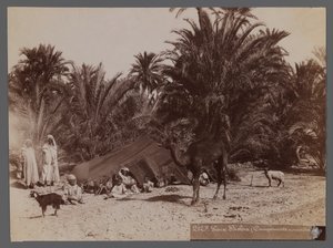 View from a site in North Africa- Nomad Camp