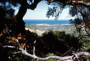 View of the Mediterranean Sea, Kabylia, Algeria by Unbekannter Künstler