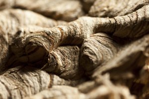 Wasp Nest II by Unbekannter Künstler