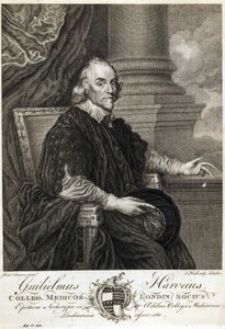 William Harvey, English Physician