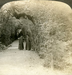 Bower of St. Anthony, Vatican Gardens, Rome, Italy by Underwood and Underwood