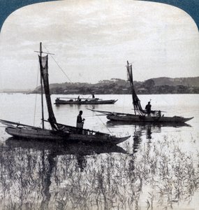 Fishing Boats Coming Home at Sunset, Near Yokohama, Japan, 1904