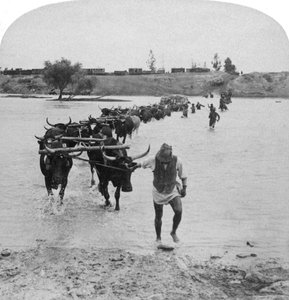 Fording the Modder River, Boer War, South Africa