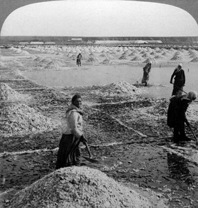 Reservoir After Evaporation, Turning Up the Salt Fields, Solinen, Russia