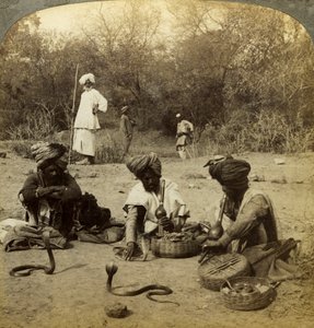 Snake Charmers, Delhi, India by Underwood and Underwood