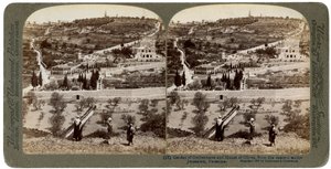 The Garden of Gethsemane and the Mount of Olives, Palestine, 1908 by Underwood and Underwood