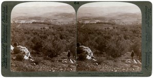 The Plain of Dothan, Palestine, 1900