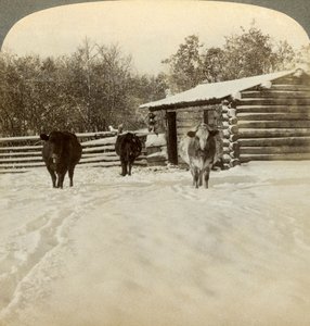 Winter on a ranch, Montana, USA by Underwood and Underwood