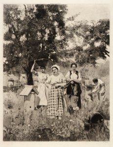 Among the Beehives by Unidentified