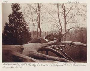 Beatrice Thom on Tree, Haddonfield, New Jersey by Unidentified