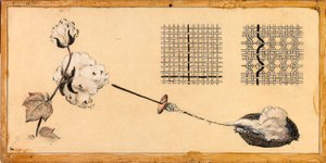Cotton Weaving by Unidentified