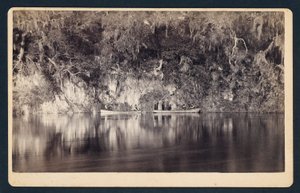 Under the Bluffs of the Withlacoochee River, Florida by Unidentified
