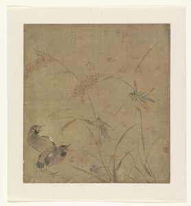 Album Page with a Depiction of Quails by Millet Stalks with Grasshoppers by Unknown