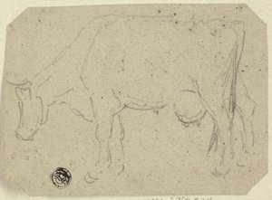 Cow Grazing; Head of an Animal by Unknown