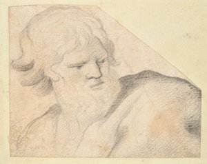 Head of a Bearded Man by Unknown