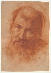 Head of a Bearded Man by Unknown