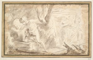 Narcissus by Unknown