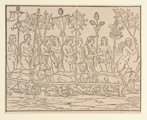 Page from a Copy after Colonna