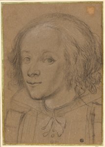 Portrait of a Young Woman