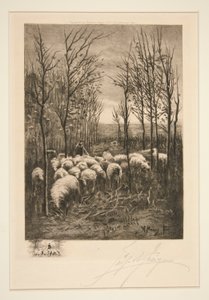 Sheep in Pasture by Unknown
