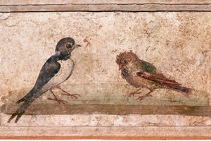 Swallow and Sparrow, Roman wall painting from Boscoreale near Pompeii, 1st century by Unknown