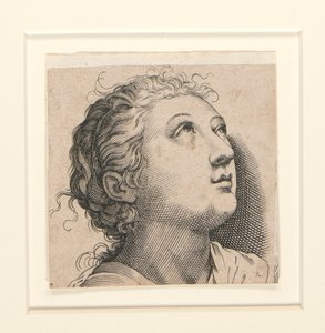 Untitled (Woman Looking Up) by Unknown
