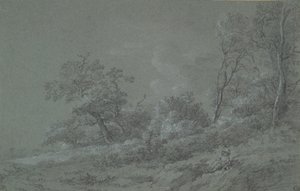 Woodland Scene