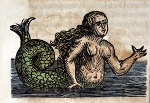 A Siren, Legendary Person - Engraving from a work by Athanasius Kircher (1601 - 1680), Jesuit, Orientalist and German scholar