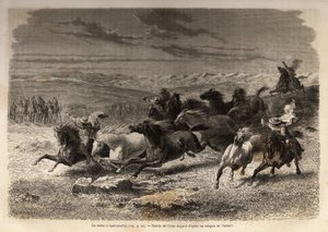 A rodeo in Lauramarca (Lower Peru), the capture of wild horses, before their iron marking with the initials of the owner of the region, considered as a complete spectacle, many onlookers gathered. Engraving to illustrate the voyage in the valleys of Quinqu by Unknown artist
