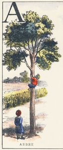 A: Tree