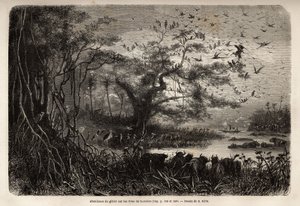 Abundance of Game on the Banks of the Zambese, Engraving to Illustrate Dr. Livingstone