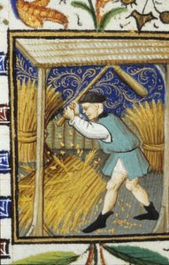 Allegorical representation of August. A peasant beating wheat. Miniature of a 14th century manuscript.