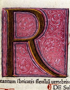 Alphabet: miniaturized letter R