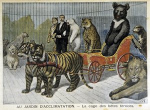 At the acclimatization garden: the cage of ferocious beasts - in “Le Petit Journal” of 02/06/1895