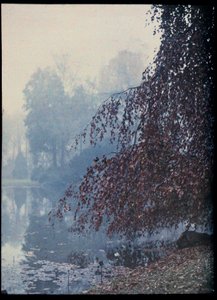 Autumn Landscape, Lake and red tree in the fog - circa 1920 by Unknown Artist