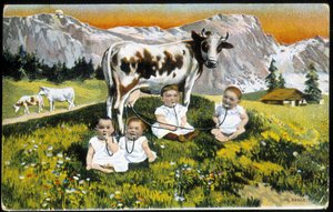 Babies stubborn a cow by pipes - Postcard, late 19th century