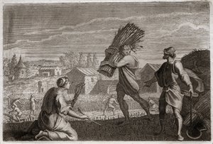 Bible of Royaumont, Old Testament: Ruth follows her mother-in-law Naomi in the land of Judah and reaps the wheat fields of Boaz. Illustration from 1811. by Unknown artist