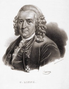 Carl Von Linné Swedish naturalist and writer (1707 - 1778) by Unknown artist