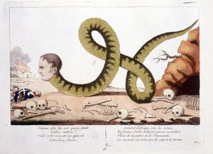 Cartoon about Napoleon I represented as a snake. Snake of Africa under arms, in France he first came to cover his nakedness; Scourge of homeland and humanity, the monster lived only with blood and tears. - in Napoleon I, caricatures, dummy collection. 1814 by Unknown artist