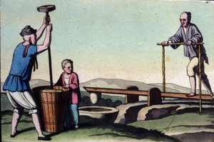 China, on the left the husking of rice and on the right the regulation of water for the cuttings - in The Old and Modern Costume by Jules Ferrario