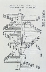 Chinese acupuncture: the meridian of the bladder by Unknown artist