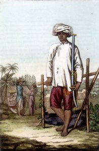 Cochinese soldier. Bibliotheque des arts décoratifs de Paris “Le costume ancien et moderne” by Unknown artist