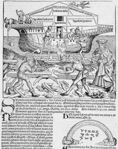 Construction of Noah