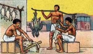Daily Life in Ancient Egypt: Breeding and Preparation of Geese in Salting, Early 20th Century