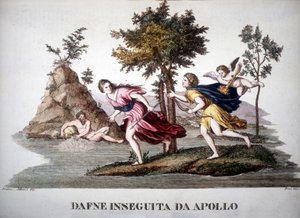 Daphne Pursued by Apollo - in Dizionario Mitologico by Unknown artist