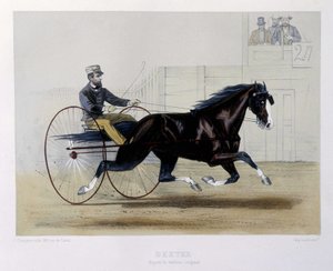 Dexter trotter - in The Centaur by Unknown artist